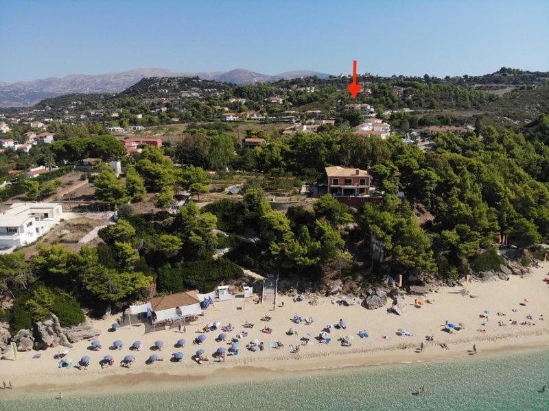 Anna'S Studios Αργοστόλι Εξωτερικό φωτογραφία